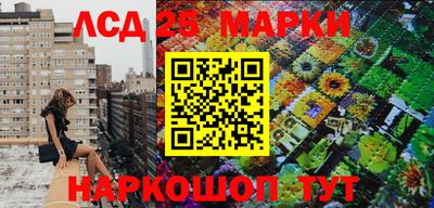 спиды Пугачёв