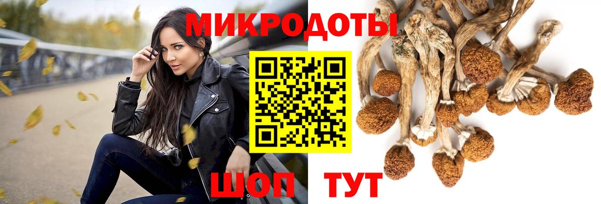Галлюциногенные грибы Magic Shrooms Балашов