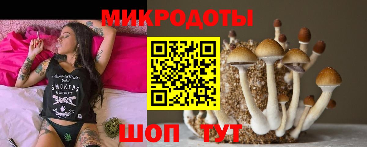Балашов  Псилоцибиновые грибы Cubensis  Вход с VPN 