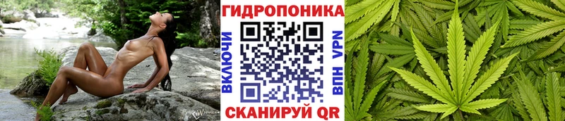 Марихуана Bruce Banner Балашов